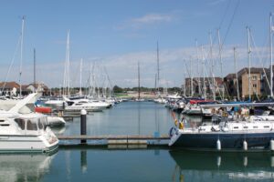 Insurance Tailored for Small Businesses in the Woolston