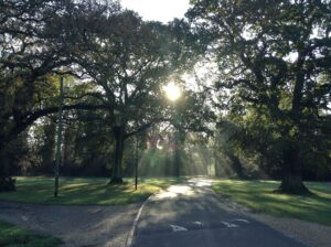Online Training Courses for Romsey Business Owners